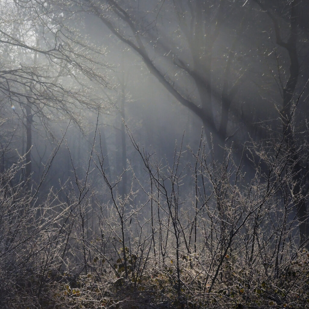 Ongewenst gedrag 1 Mystiek licht 1